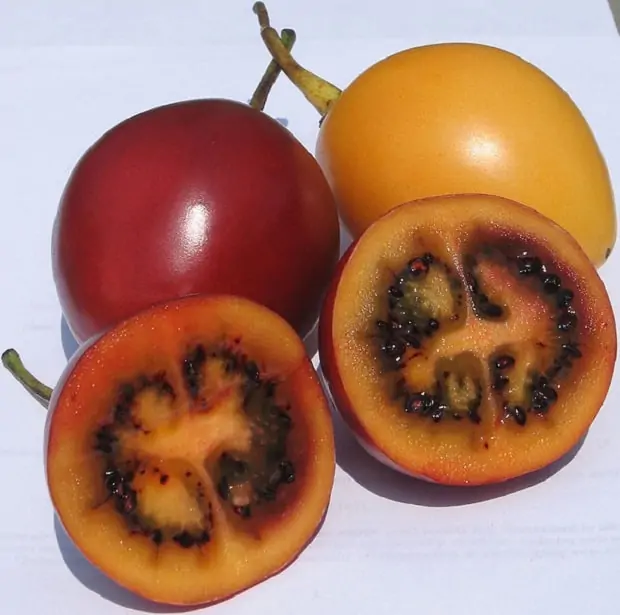 Tropické ovoce z Jižní Ameriky.
