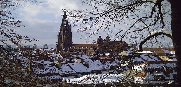 Freiburger Münster.